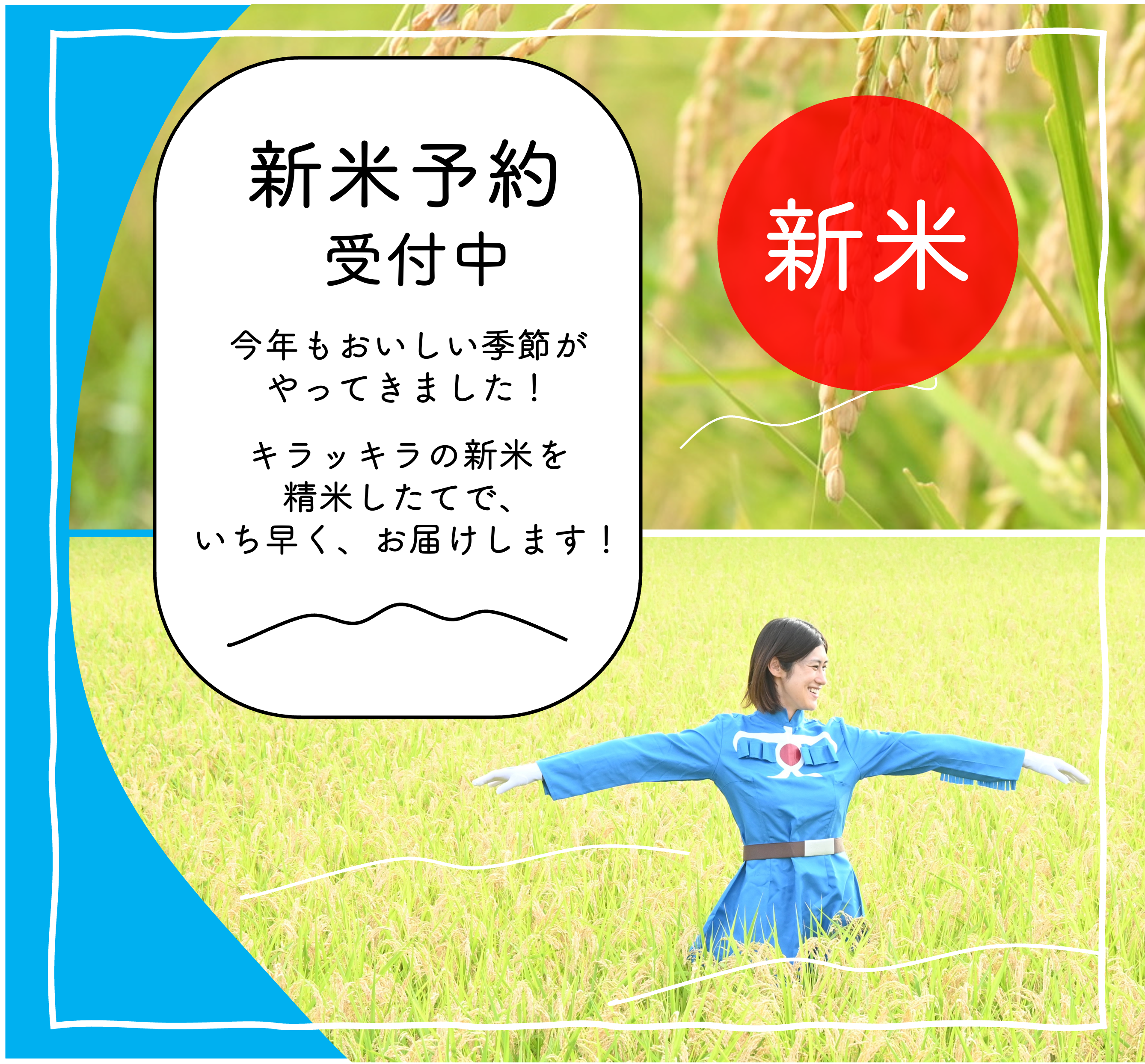 新米予約開始しました!】R7年産です! – 稲作本店 新米予約開始しました!】R7年産です! – 稲作本店