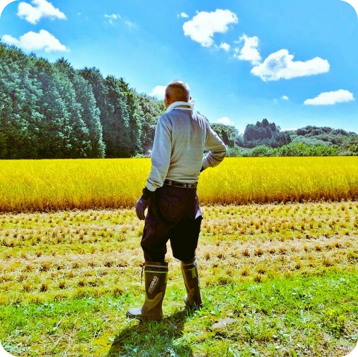 【R7年産】特別栽培米