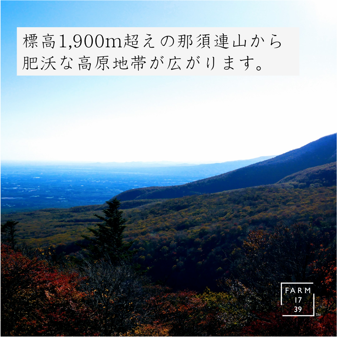おこめ と イナポン 2袋 のセット