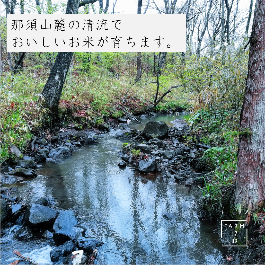 おこめ と イナポン 2袋 のセット