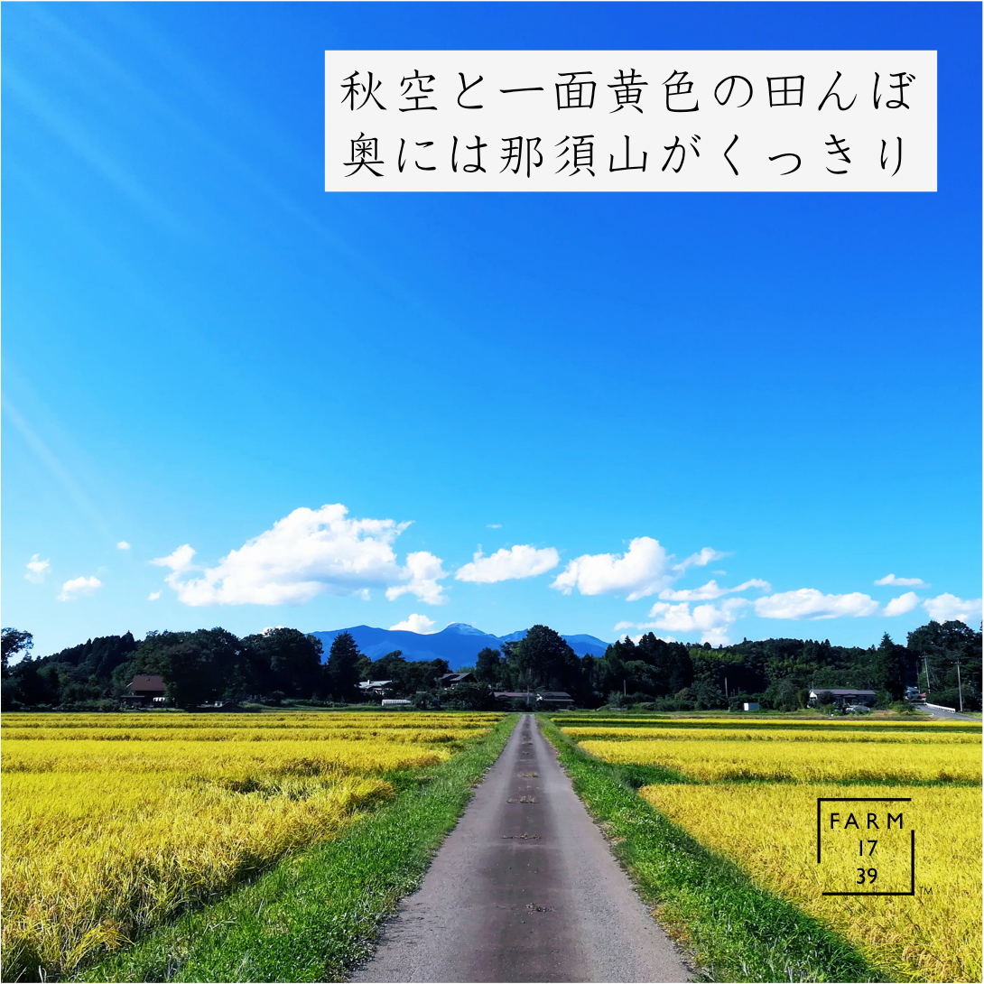 おこめ と イナポン 2袋 のセット