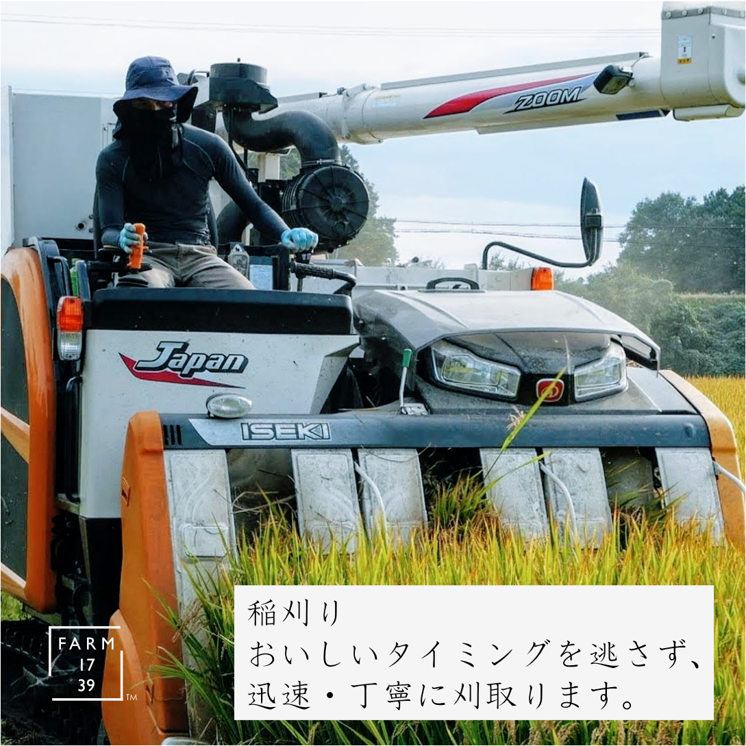 おこめ と イナポン 2袋 のセット