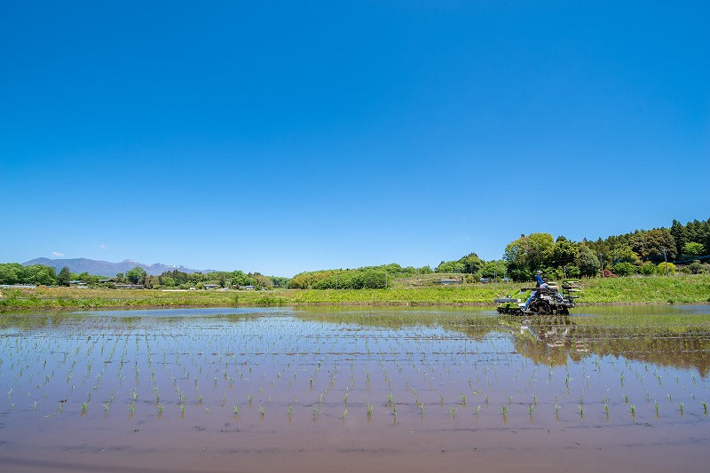 おいしいお米 と 純米甘酒 のセット