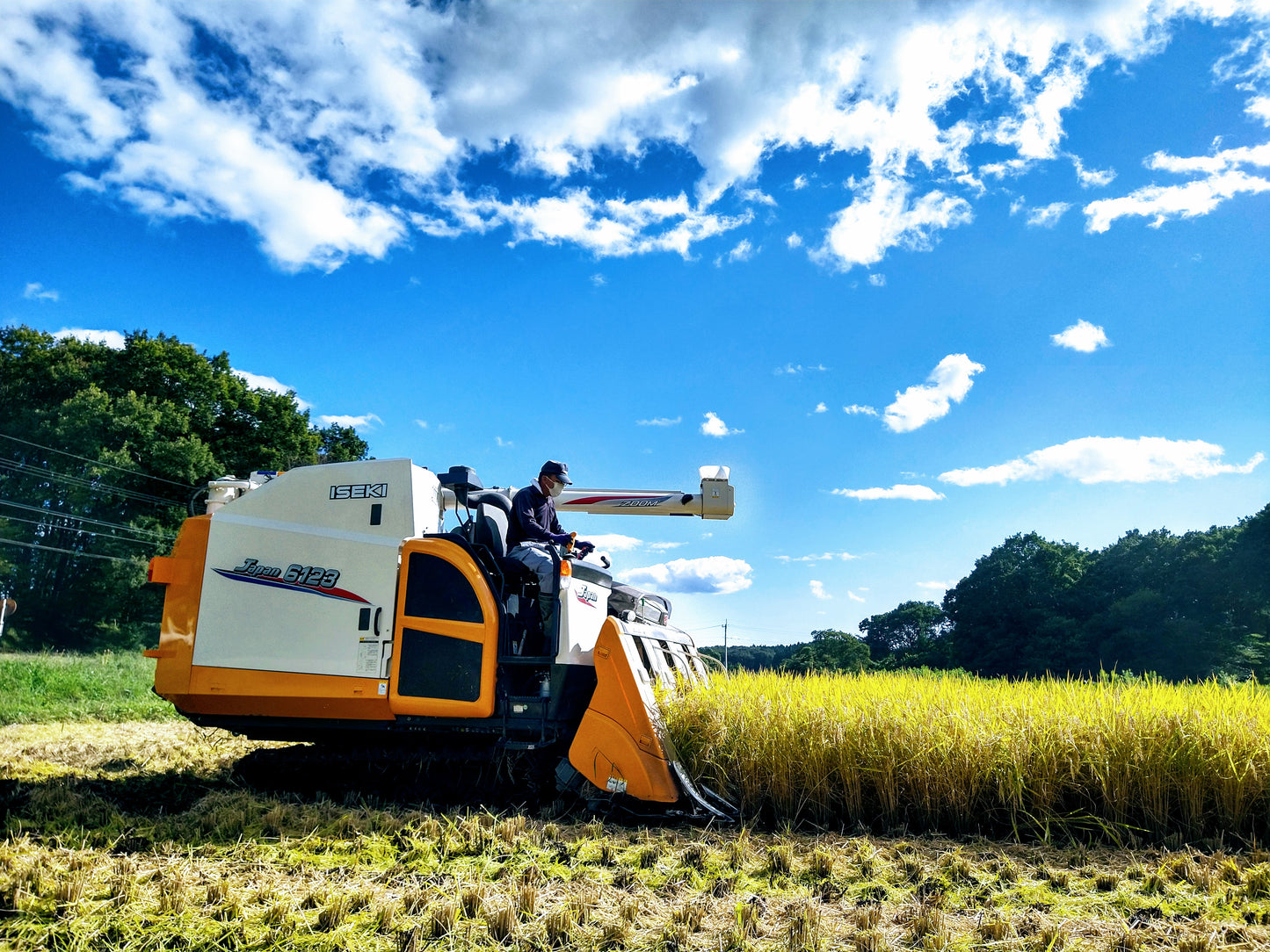 【同梱専用】サクサク!やみつきイナポン