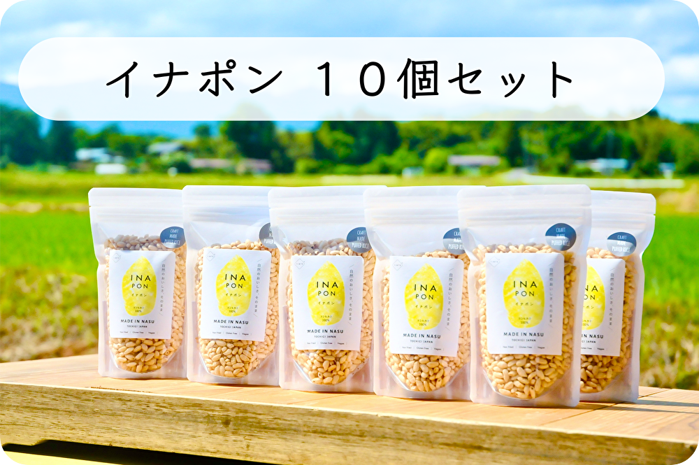 やみつきイナポン 10個セット – 稲作本店