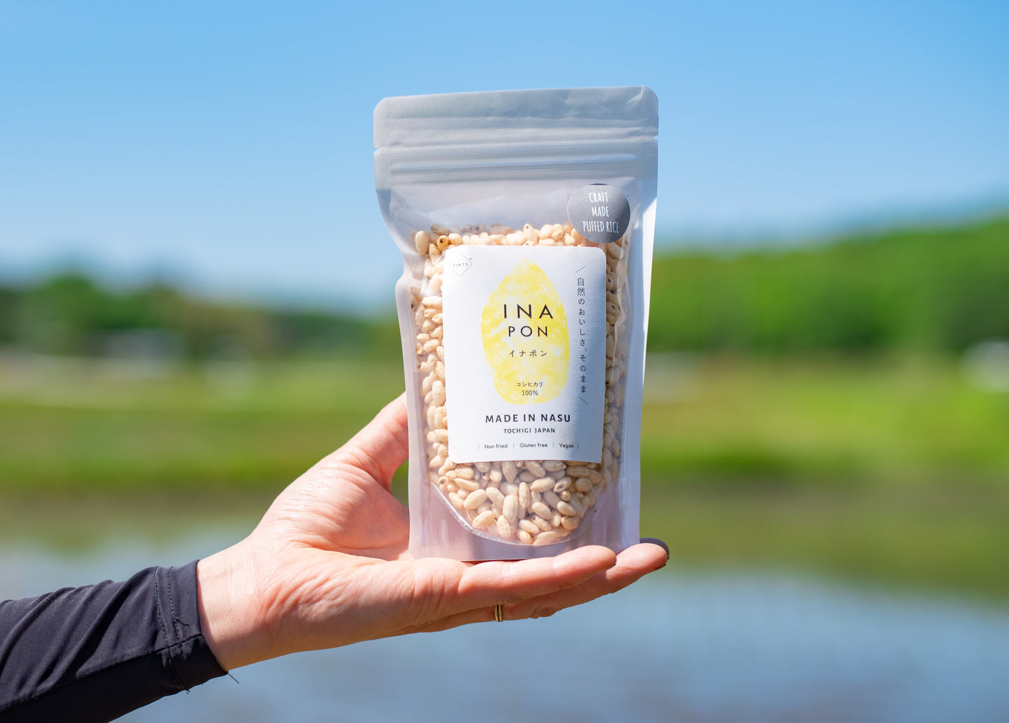 稲作本店の全部セットです