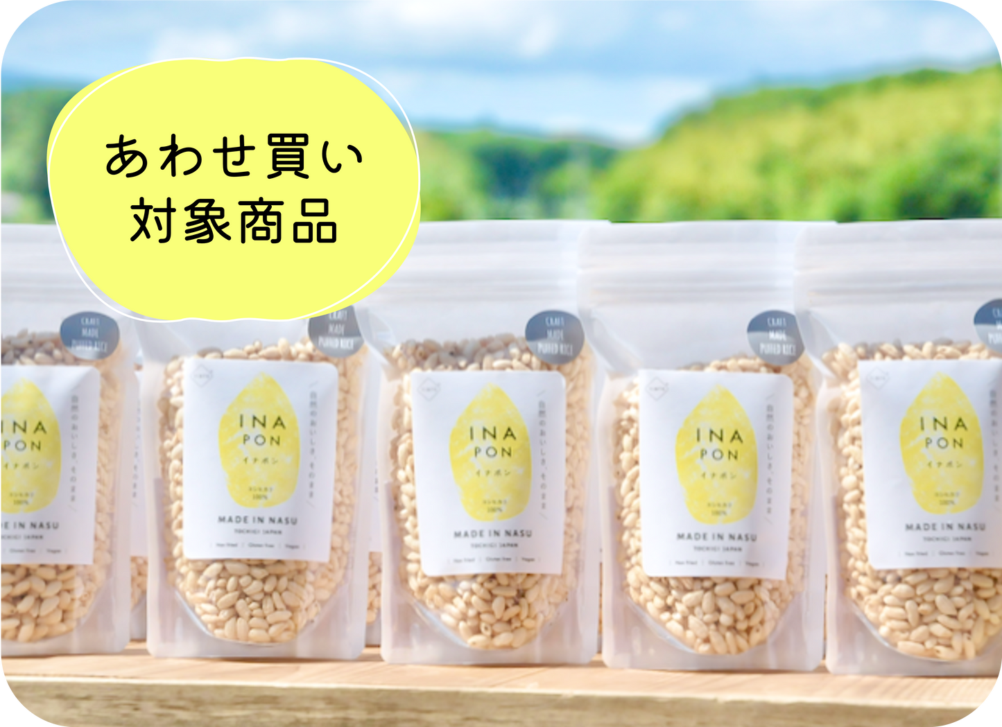 【同梱専用】サクサク！やみつきイナポン